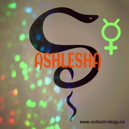 Ashlesha8