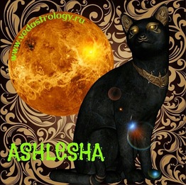 Ashlesha2