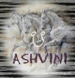 Ashvini2