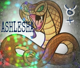 Ashlesha4